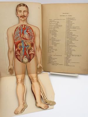 Anatomie et physiologie du corps humain. Atlas de sept planches coloriées à feuillets découpés et...