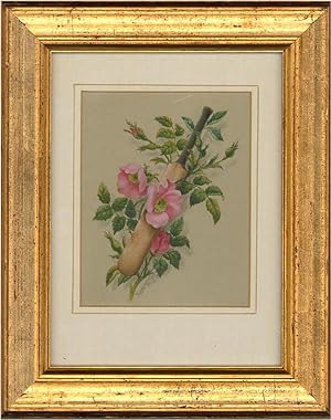 Kate Griffith (fl.1879-c.1890) - Late 19thC Watercolour, Cricket Bat With Roses
