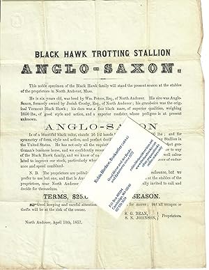 Black Hawk Trotting Stallion Anglo-Saxon [broadside]