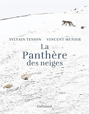 la panthère des neiges