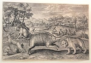 A Wild Boar, and a Bear, from Animalium Quadrupedum