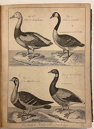 Encyclopedie Methodique: Histoire Naturelle, Ornithologie