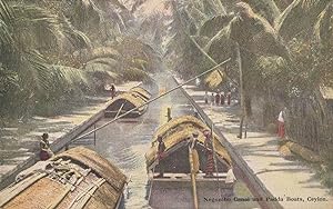 Negombo Canal India Antique Ceylon Boat Postcard