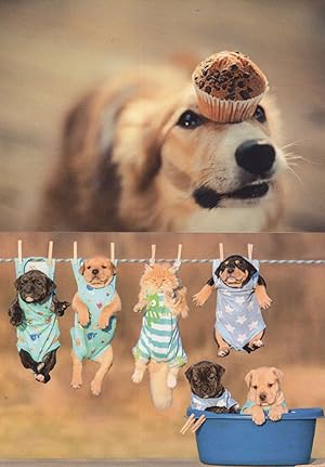 Dogs On Washing Line Balancing Bakers Cake 2x Dog Comic Postcard s