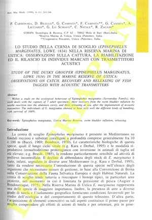 Lo studio della cernia di scoglio (Epinephelus marginatus, Lowe 1834) nella Riserva Marina di Ust...