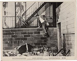Mister Buddwing (Original photograph of James Garner from the 1966 film)