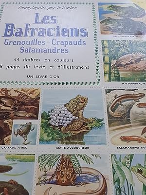 les batraciens grenouilles crapauds salamandres