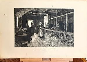 Latteria Svizzera al Valentino Acquaforte Soc. Belle Arti Torino 1888