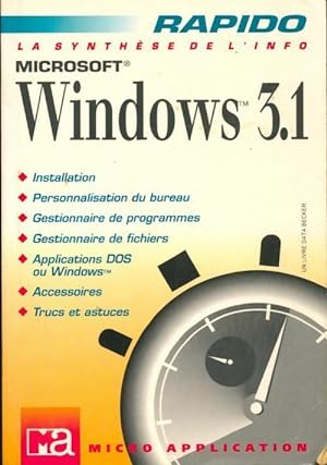 Microsoft Windows 3.1 - Christophe Stehly