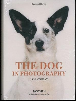 The Dog in Photography 1839?Today