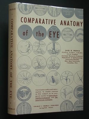 Comparative Anatomy of the Eye