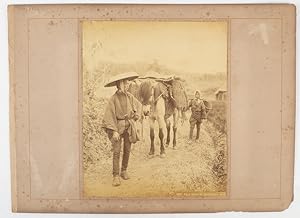 Pack horse on the country way. [caption title.]