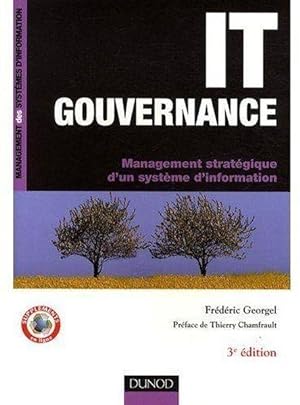 IT gouvernance