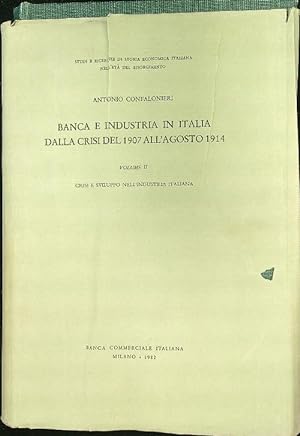 Banca e industria in Italia dalla crisi del 1907 all'agosto 1914 vol. II