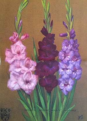 The Gladiolus Annual - 1929, 1931, 1932, 1933, 1934, 1935, 1939, 1940 [+ New England Gladiolus So...