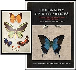 The Beauty of Butterflies: 12 Beautiful Colour Plates from Nature [Batsfords 'Art and Nature in C...