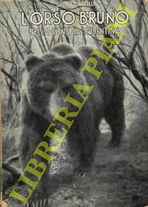L'orso bruno (Ursus arctos arctos, L.) nella Venezia Tridentina.