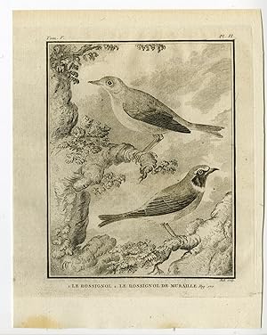 Antique Print-COMMON NIGHTINGALE-BLACK REDSTART-PL. 6-de Seve-Buffon-Hulk-1775