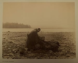 THE MUSSEL GATHERER By Edward S Curtis