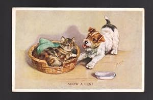 Show a Leg - Kitten and Puppy Dog Postcard