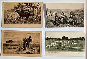Eight early C20th postcards of South Africa: A TYPICAL ZULU, YOUNG ZULUS, ZULU CHIEFS SON, NATIVE...
