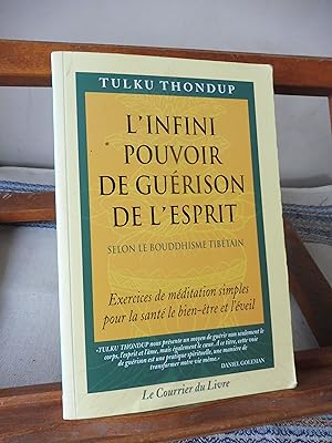L'INFINI POUVOIR DE Guérison DE L'ESPRIT Selon Le Bouddhisme Tibétain. Exercices De Méditations S...