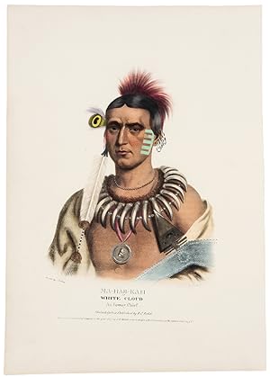 Ma-Has-Ka or White Cloud. An Ioway Chief