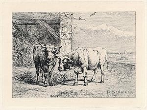 Bulls, from Eaux-Fortes Animaux & Paysages; Taureaux