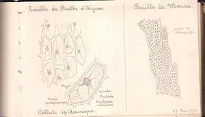 Cahier de dessins de Botanique