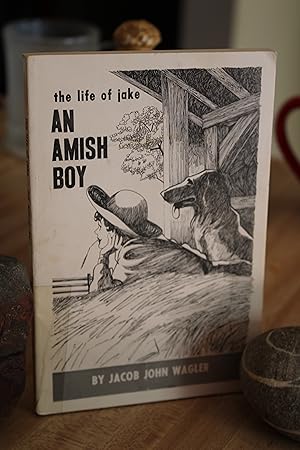 The Life of Jake an Amish Boy