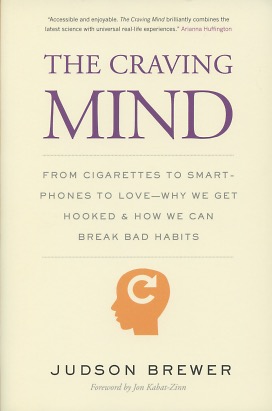 The Craving Mind: From Cigarettes to Smartphones to Love – Why We Get Hooked and How We Can Break...