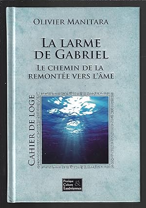 La larme de Gabriel : Le chemin de la remontée vers l'âme