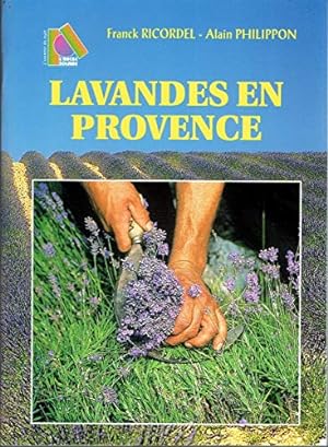 Lavandes en Provence