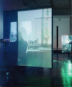 Three-Dimensional Projection : Situation sculpture between the artist and the viewer