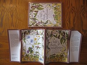 A Child's Book of Wildflowers