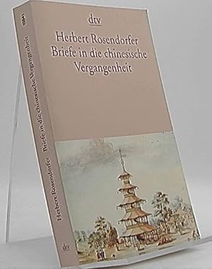 Briefe in die chinesische Vergangenheit : Roman. dtv ; 10541