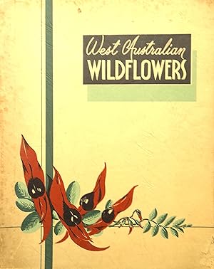 West Australian Wild Flowers.