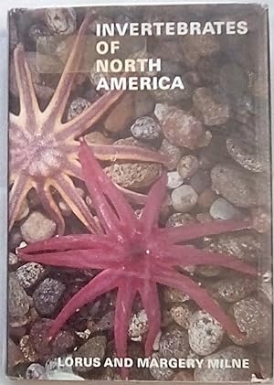 Invertebrates of North America