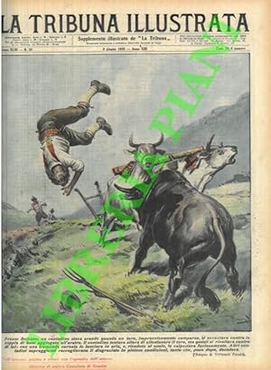 Presso Bolzano un contadino mentre sta arando con una coppia di buoi, è assalito e ucciso da un t...