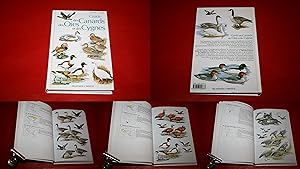 Guide des Canards, des Oies et des Cygnes. Texte de Steve Madge. 47 planches avec 750 illustratio...