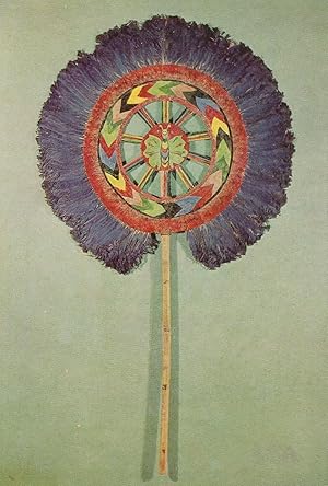 Antique 1500s Insect Dragonfly Museum Austrian Exhibit Postcard