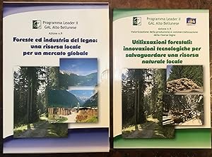foreste ed industria del legno: una risorsa locale per un mercato globale - Utilizzazioni foresta...