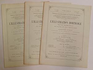 L'Illustration Horticole. 5me Serie. Tome XXXVII, 4me Volume, 3me Livraison, 20 Mars, 1890; 7me L...