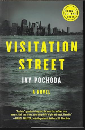VISITATION STREET: A Novel