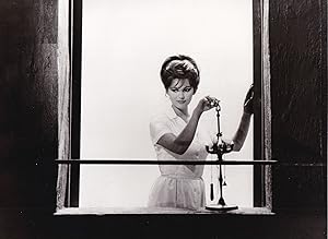 8 1/2 [Otto e mezzo] (Original photograph of Claudia Cardinale from the 1963 film)