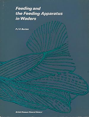 Feeding And The Feeding Apparatus In Waders: A Study Of Anatomy And Adaptations In The Charadrii