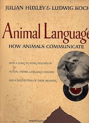 Animal Language How Animals Communicate