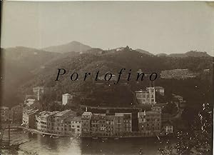 Foto originale Portofino (Genova), vista dal promontorio 1900's