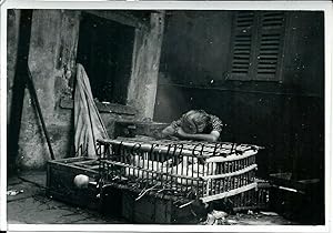Bella fotografia originale Domodossola venditrice di polli e galline 1950