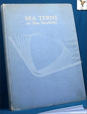 Sea Terns or Sea Swallows: Their Habits, Language, Arrival and Departure